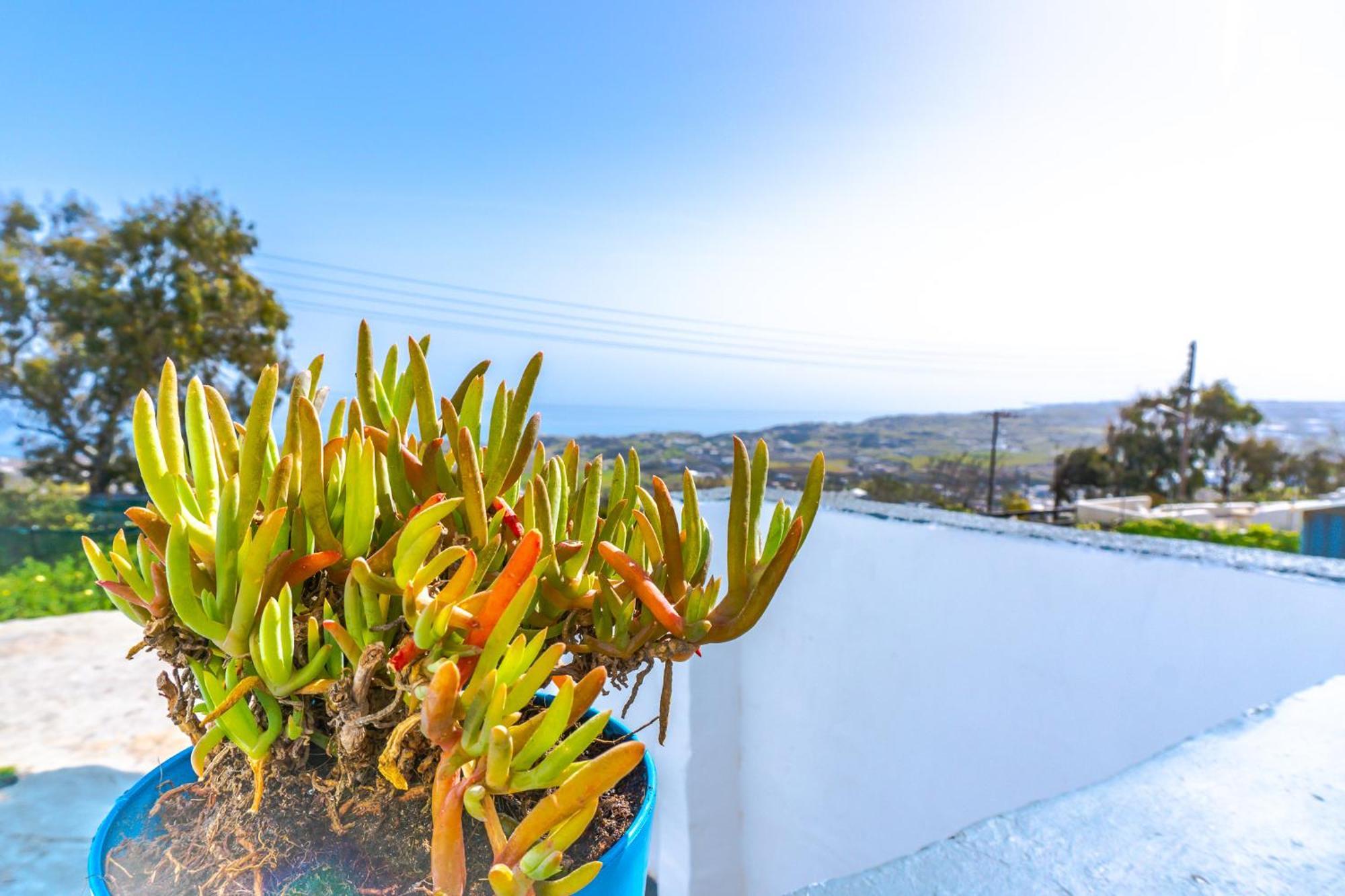 Smarula Villa Firostefani Luaran gambar
